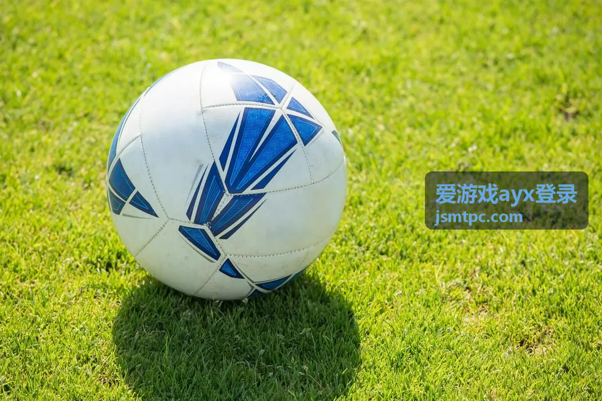 爱游戏ayx登录玩法结果区域查看三项信息的示意封面